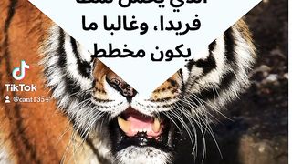 Animal World