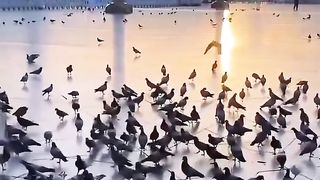 رمضان كريم