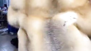 FUR COATS FANS