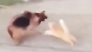 страх