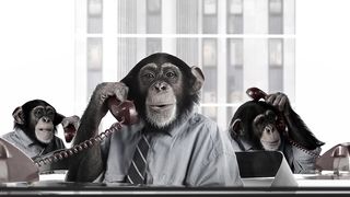 Monkey Business
