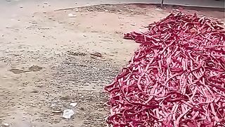 Pataqa