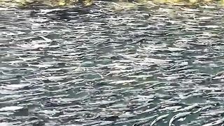 طبيعة