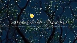 ????سورہ ص¹????