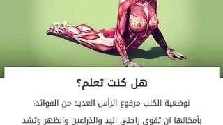 وضعيات     بسيطة  تجعلك تنعم بصحة جيدة