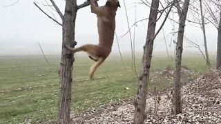 꺾을려는 불굴의 의지