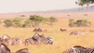 Beautiful nature