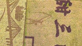 타이저우시 바이시촌