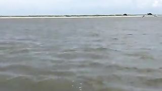 This guy was filming a Pelican when all of a sudden he heard splashing next to him