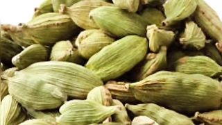 "Unveiling the Enigma of Cardamom: Its Aromatic Allure and Healing Powers"