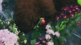 물감 행위예술