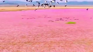 구강시 포양호초해