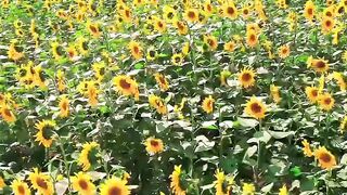 타이저우시 톄창춘