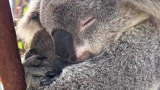 Sometimes all you need is a big cuddle  from mum ????