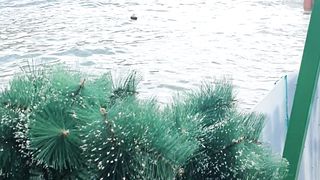 The coast of Cartagena is beautiful