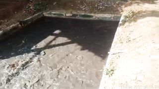 Jika WARNA AIR kolam kalian berubah, jangan RISAU, amati kondisi ikannya