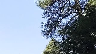 جبال الأرز قرية تمديت ????????