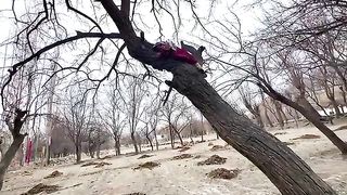 Baraf Bari aur tution bhai jana hea shiraz ko ????????????