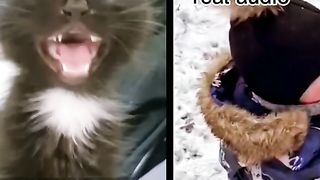 Funny