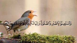 Surah Baqarah Ayat 45 Mishary Rashid Alafasy HD with Urdu Translation