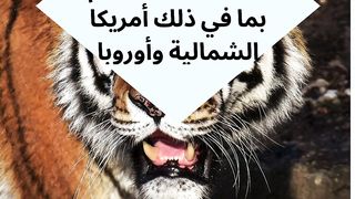 Animal World