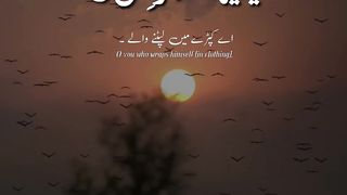 #quran #fyp