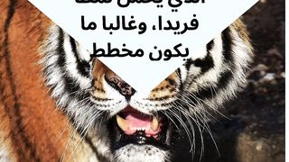 Animal World