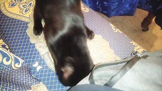 My cat who loves me and I love her