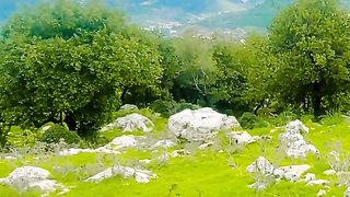 Spring of the Arab North