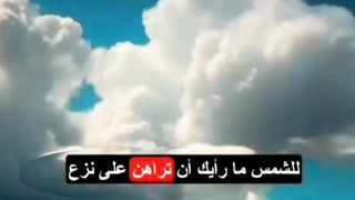 Yarab