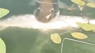 Submarine friend in trouble will not leave