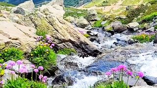 spring beautiful