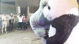 مهرجانات