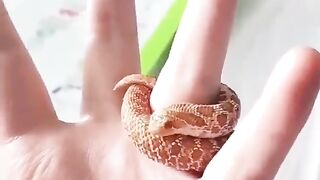 the cutest video you will see today