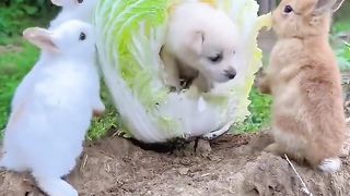 two of the cutest friends you will see all day