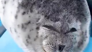 Wait for it.. ????