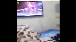 funny amazing animal4