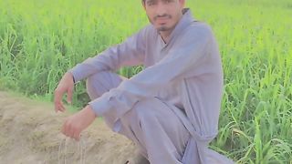 Tiktok video image video