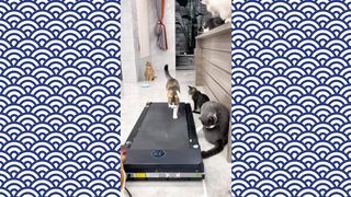Wow that's amazing