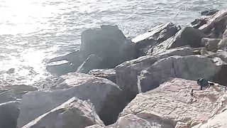 Pêche