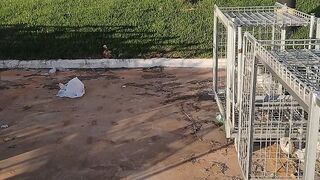 Supervisão Carrinhos