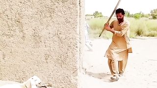 Watch Full this Funny Video