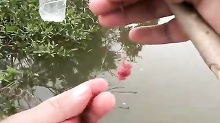 Crazy fishing