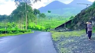 Kebun teh bedakah