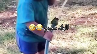 الولد المجرم