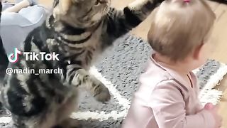 Cat play with baby girl