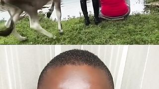#Very #funny #video #clips