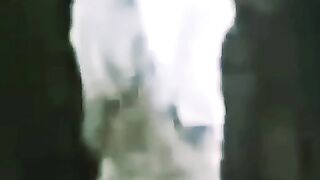 اسرع الحيوانات