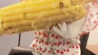Funny animals 2023???? - Funniest Cats and Dogs Video????????315 #shorts.