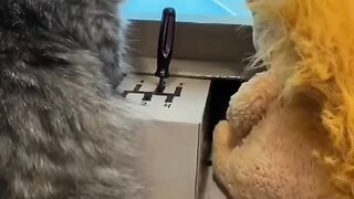 Funny animals 2023???? - Funniest Cats and Dogs Video????????316 #shorts.
